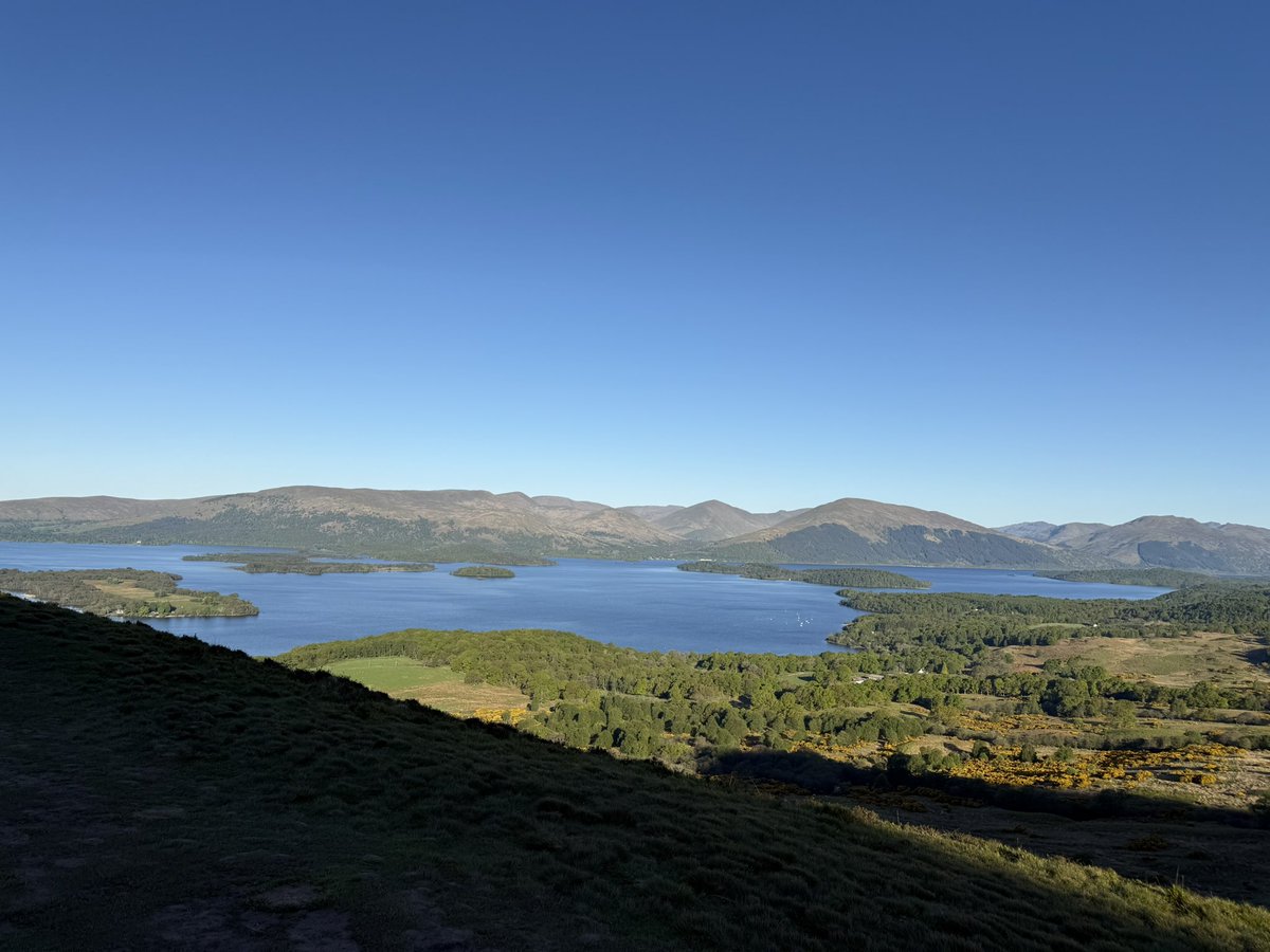 Daniel 🏴 tweet media