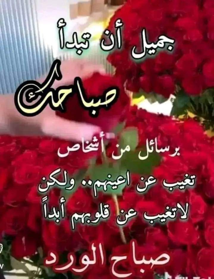 محمد ياقوت (@myaqwt9851) on Twitter photo #بـٰٰٰٖٖٖۧـ๋͜ــ۫͜ـــدايـٰٰٰٖٖٖۧـ๋͜ــ۫͜ـــه⇣✵
#بدايـــــــــــــــہ صباحيه 🌙
؏ 💥 710 💥
💫 <a href="/mnb1__/">Mohmed Yakoot</a>💫
💫 <a href="/mnb1__/">Mohmed Yakoot</a> 💫
#صباح_الخير_والسعاده_للجميع
#صباح_الخير
🔥🔥 #نشط_الآن 🔥 #بـٰٰٰٖٖٖۧـ๋͜ــ۫͜ـــدايـٰٰٰٖٖٖۧـ๋͜ــ۫͜ـــه⇣✵
#بدايـــــــــــــــہ صباحيه 🌙
؏ 💥 710 💥
💫 <a href="/mnb1__/">Mohmed Yakoot</a>💫
💫 <a href="/mnb1__/">Mohmed Yakoot</a> 💫
#صباح_الخير_والسعاده_للجميع
#صباح_الخير
🔥🔥 #نشط_الآن 🔥