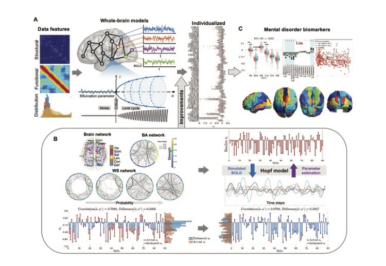 Adaptive Whole-Brain Dynamics Predictive Method: Relevancy to Mental Disorders. Click the link below to read this free, open access article. doi.org/10.34133/resea…