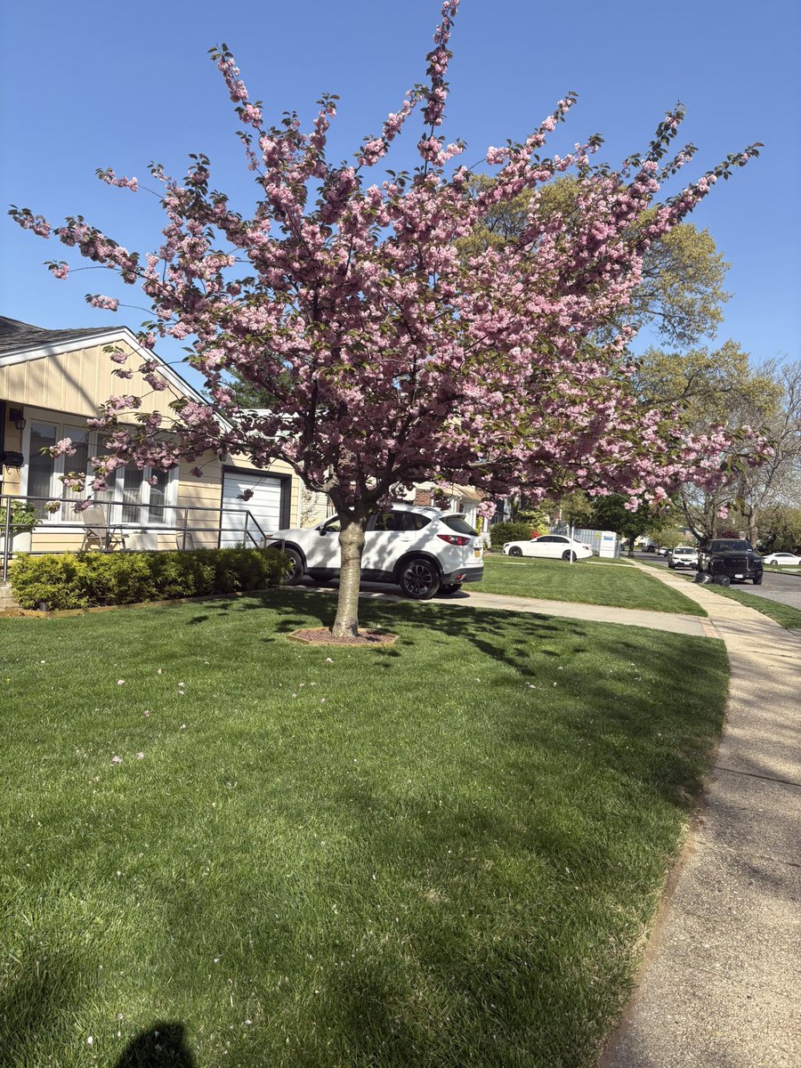 Quantumcode28's tweet image. Build Happiness you want in this Realm !

#22 
#NaturePhotography 
#matrixdecoded