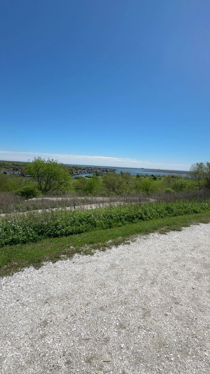 Quantumcode28's tweet image. Build Happiness you want in this Realm !

#22 
#NaturePhotography 
#matrixdecoded