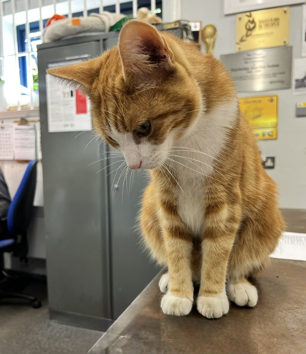 Victory in Europe marked the end of WWII on the continent. 

We remember the courage, sacrifice, and resilience of a generation who stood for freedom and secured peace in Europe.

We will remember them

#VEDay80 #LestWeForget