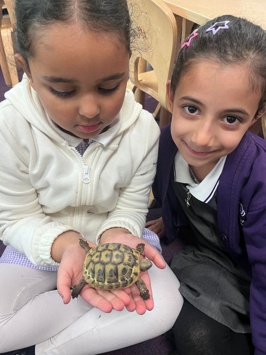 Nottingham Primary Academy tweet media