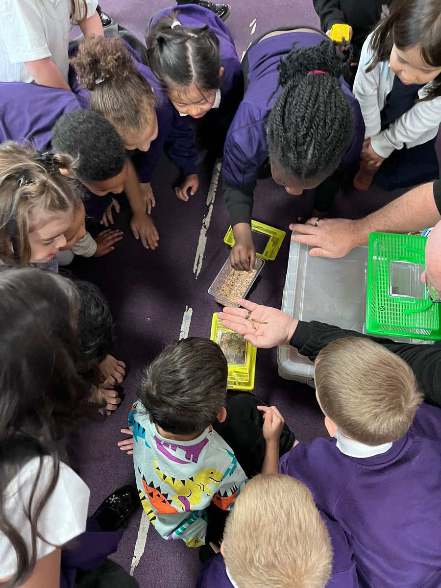 Nottingham Primary Academy tweet media