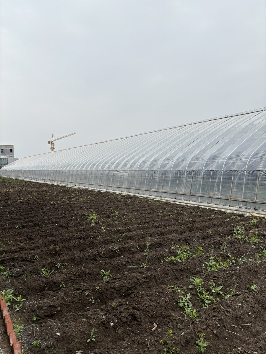 Gustavomaddonni's tweet image. Visita al Plant Protection laboratory del College of Plant Science Jilin University (China). Interesantes líneas de trabajo sobre enfermedades en maíz, insectos y mejoramiento para frío y suelos salinos. Muy buenas instalaciones de laboratorio y campo