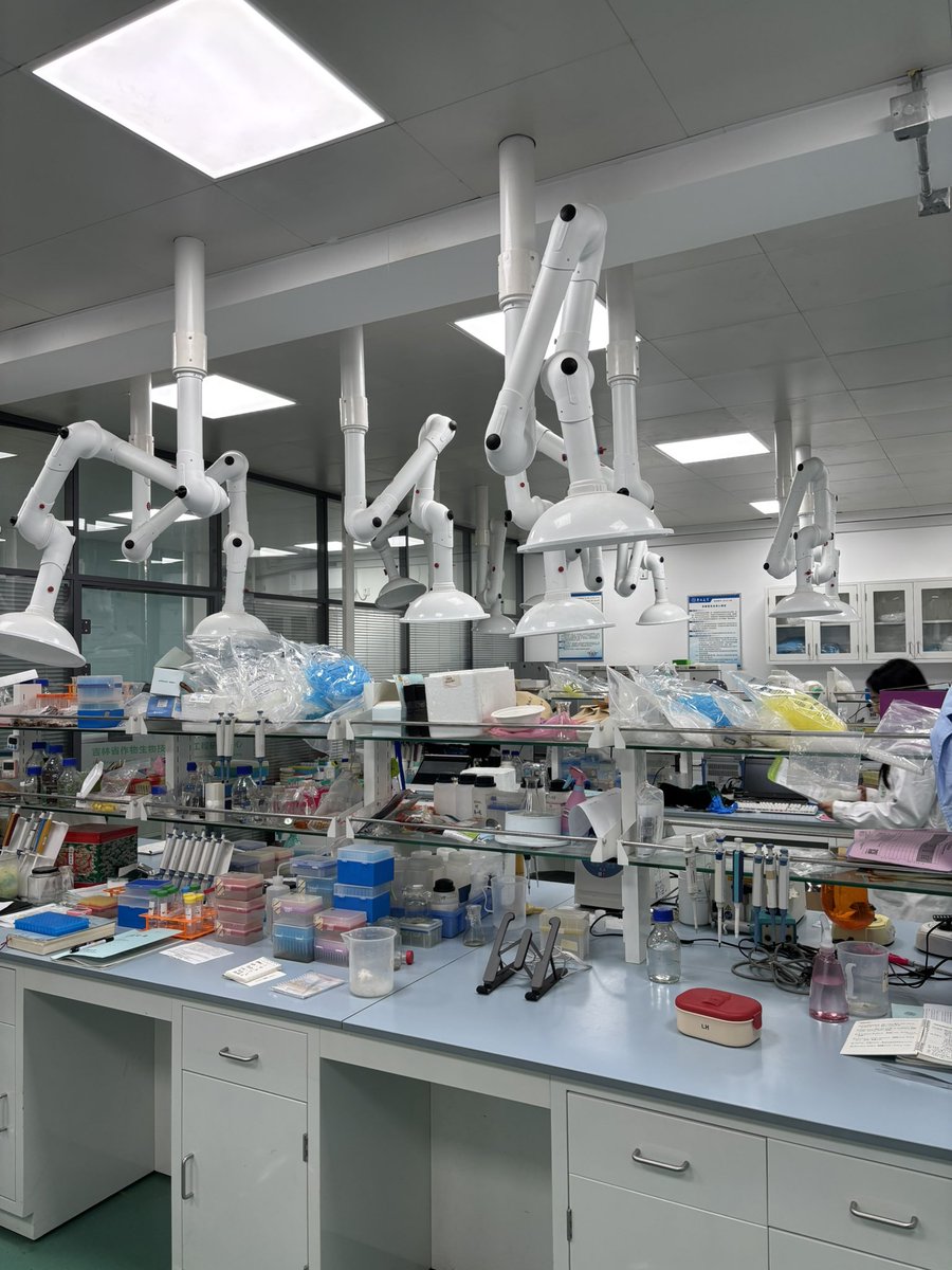 Gustavomaddonni's tweet image. Visita al Plant Protection laboratory del College of Plant Science Jilin University (China). Interesantes líneas de trabajo sobre enfermedades en maíz, insectos y mejoramiento para frío y suelos salinos. Muy buenas instalaciones de laboratorio y campo