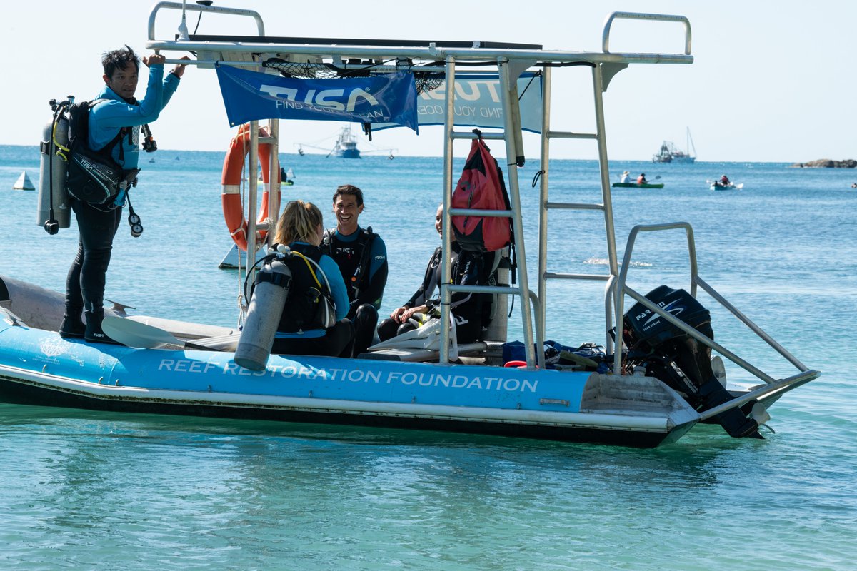 TUSA_JAPAN's tweet photo. Are You Ready To Dive?😎👌
🙆♀️🙆🙆♂️🙆♀️🙆🙆♂️🙆♀️🙆🙆♂️
#TUSA #Tusajapan #TUSAJAPAN #TEAMTUSA #TeamTUSA #FINDYOUROCEAN #FindYourOcean #scubadiving #ダイビング器材 #diving #Oceanlife #reefrestorationfoundation #divegear #Oceanlove #divingequipment #divetourism #フォローお願いします https://t.co/otQdF8UaZZ