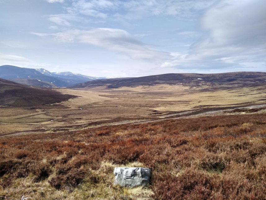 Working_for_Waders (@forwaders) on Twitter photo Yesterday <a href="/heathertrust/">The Heather Trust</a> published their 'Heather Futures' report documenting the frightening rate of moorland loss - an area the size of Birmingham each year. This is crucial #wader habitat. š#WaderWeek <a href="/_BTO/">BTO</a> <a href="/NatureScot/">NatureScot</a> <a href="/BASCScotland/">BASC Scotland</a> <a href="/ScotGamekeepers/">Scottish Gamekeepers</a> <a href="/curlewcalls/">Mary Colwell</a> <a href="/CurlewAction/">Curlew Action</a> Yesterday <a href="/heathertrust/">The Heather Trust</a> published their 'Heather Futures' report documenting the frightening rate of moorland loss - an area the size of Birmingham each year. This is crucial #wader habitat. š#WaderWeek <a href="/_BTO/">BTO</a> <a href="/NatureScot/">NatureScot</a> <a href="/BASCScotland/">BASC Scotland</a> <a href="/ScotGamekeepers/">Scottish Gamekeepers</a> <a href="/curlewcalls/">Mary Colwell</a> <a href="/CurlewAction/">Curlew Action</a>