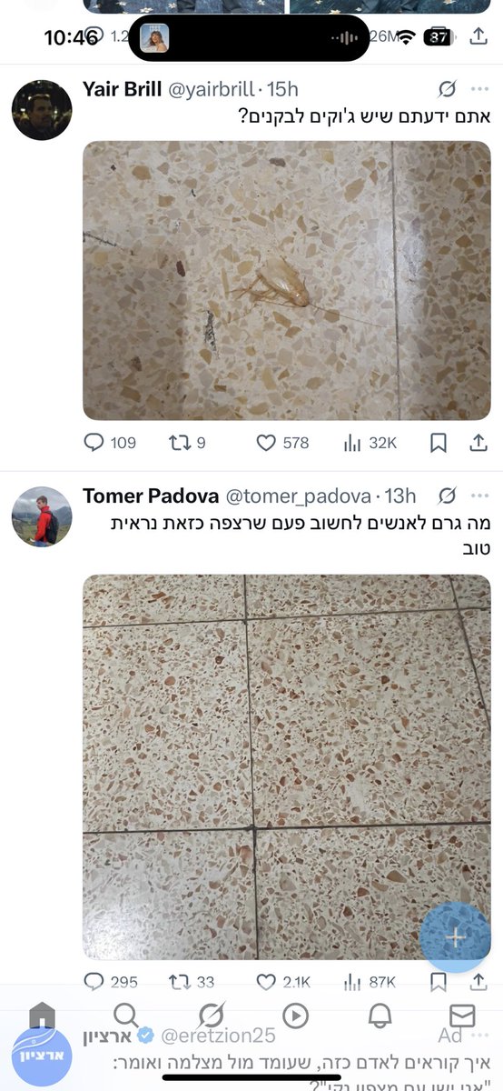 mayaxidk's tweet photo. תודה 🙏 https://t.co/1MSO2efaMB