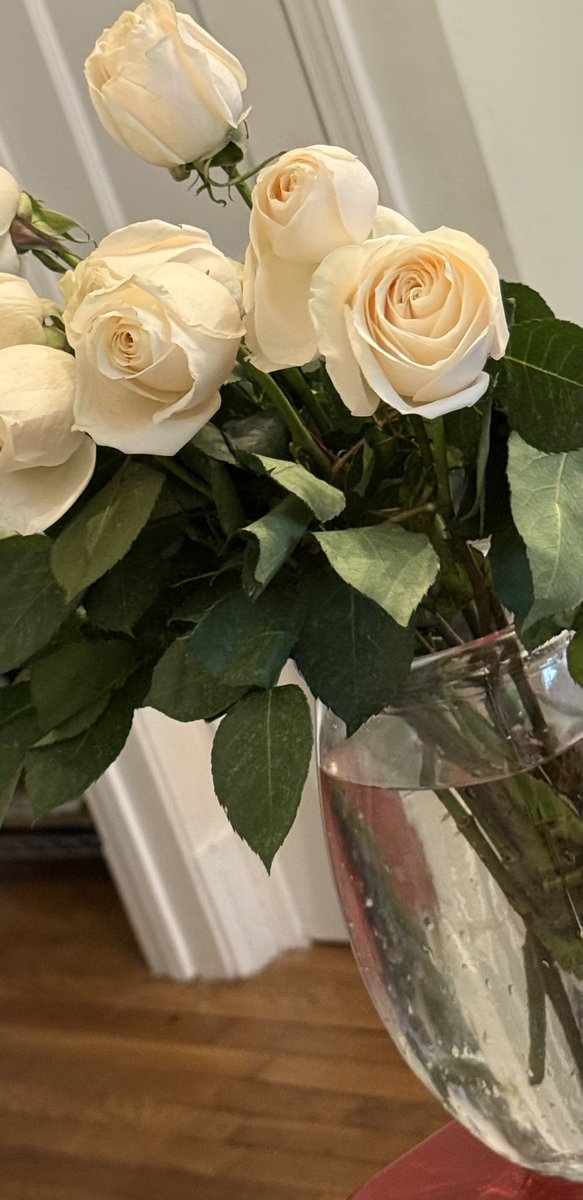 ThirtyOneCran's tweet image. overwhelmingly surprised and so thankful   to receive such attention from one of the many students in my school garden classes during Teacher Appreciation Week at Stoddert Elementary 

outdoors is where magic happens 

#schoolgarden #outdoors #dmv #outdoorlearning #america #wusa9