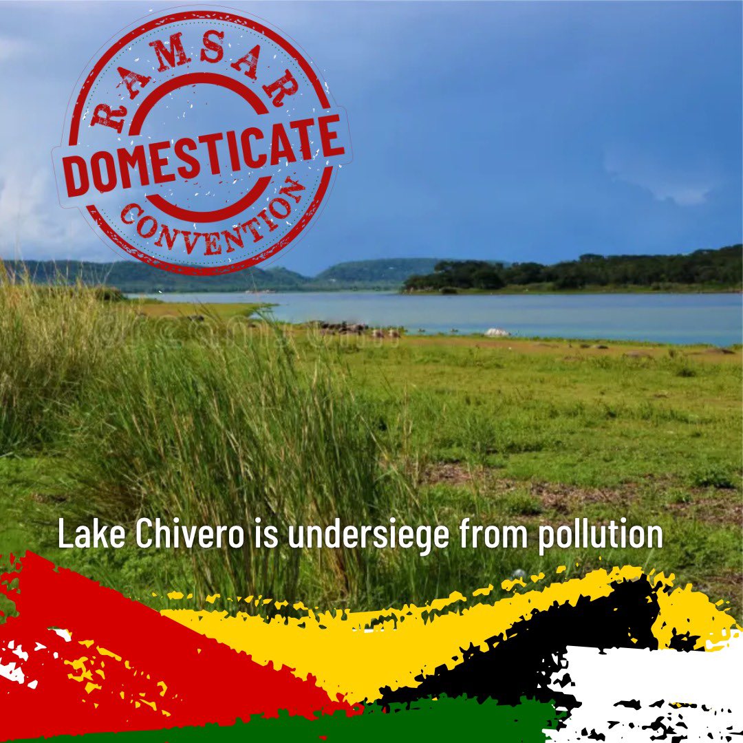CHRA Harare (@chraharare) on Twitter photo Lake Chivero, a vital water source for Harare, is facing a severe pollution crisis.<a href="/birdlifezim/">BirdLife Zimbabwe</a> <a href="/RamsarConv/">Convention on Wetlands</a> <a href="/CanEmbZimbabwe/">Canada in Zimbabwe</a> Lake Chivero, a vital water source for Harare, is facing a severe pollution crisis.<a href="/birdlifezim/">BirdLife Zimbabwe</a> <a href="/RamsarConv/">Convention on Wetlands</a> <a href="/CanEmbZimbabwe/">Canada in Zimbabwe</a>
