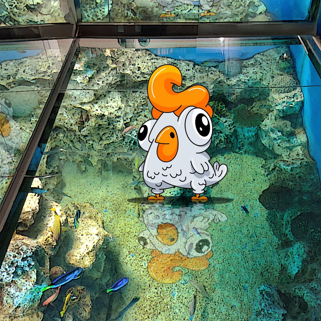 TravelJapanPeep's tweet photo. The 4 PEEPs arrived at Echizen Matsushima Aquarium!
It’s a hands-on aquarium in Fukui with dolphin shows, a penguin parade, and a chance to feed sea turtles.
Carl looks like he’s floating on the sea. So dreamy!
This spot is called “Coral Sea” with mirrors and a fully glass floor! https://t.co/1JnwKzCyjh