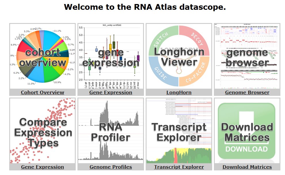 The RNA Atlas, a single nucleotide resolution map of the human transcriptome

Interactive exploration of any #RNA transcript from multiple library enrichment strategies (polyA, ribo depletion, small RNA). Also includes the #longhorn viewer for #LncRNA

r2platform.com/rna_atlas
