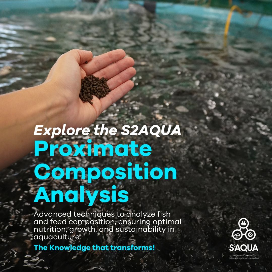 S2AQUAcoLAB's tweet photo. Understanding fish body composition - moisture, protein, fat, ash, energy - is key to health, growth &amp; feed efficiency. 🐟
At S2AQUA, we use advanced analytics to boost nutrition, sustainability &amp; aquaculture productivity. 🌱🔬 #Aquaculture #research #nutrition #farmedfishes https://t.co/SLZxhaHvo4
