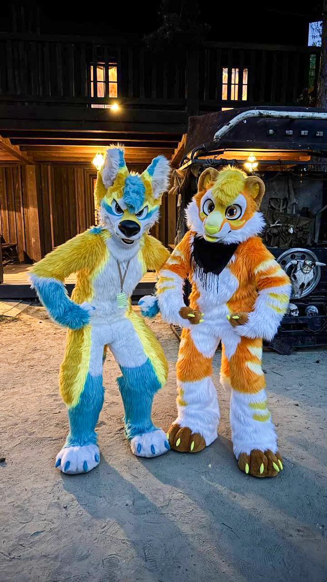 Come at us bro 👊 
#FursuitEverday 
📸 Shadow