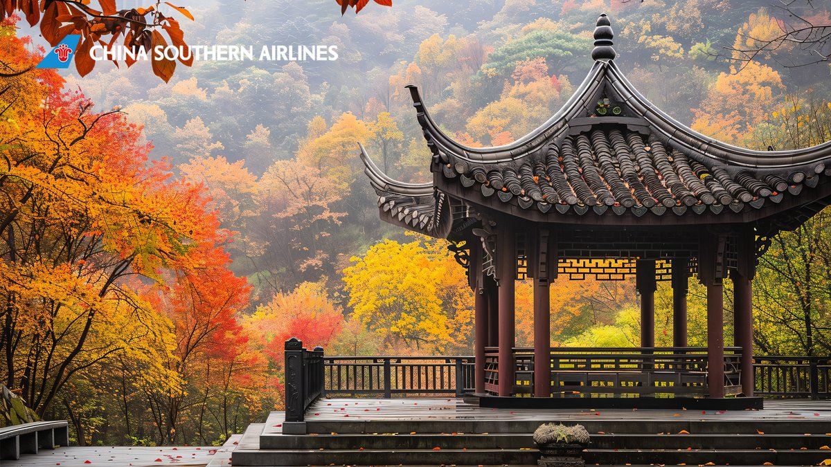 CSAIRGlobal's tweet image. Discover two cities with us! From the charm of Yuelu Mountain to the historic One Pillar Pagoda! China Southern Airlines has resumed flights between Changsha and Hanoi starting from April 24. Begin your cultural escape today! 
m.csair.com/r/?BZtcjm8J7

#CSAr #TravelWithCSAir