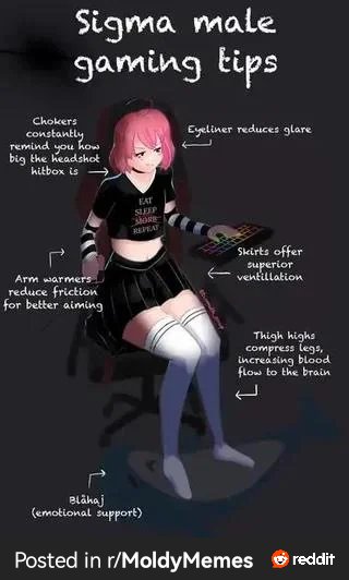 ShadowInfinity3's tweet photo. @FoxiHeaven Nah just the ultimate gamer clothes https://t.co/NpgE77QRCh