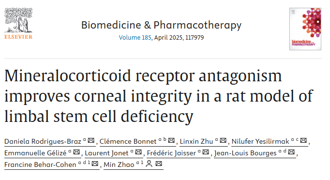 Can heart medications help treat rare eye diseases?👁️
Read our latest research on the use of MRAs for limbal stem cell deficiency and their potential use as new treatments 🔍👉 restorevision-project.eu/mineralocortic…