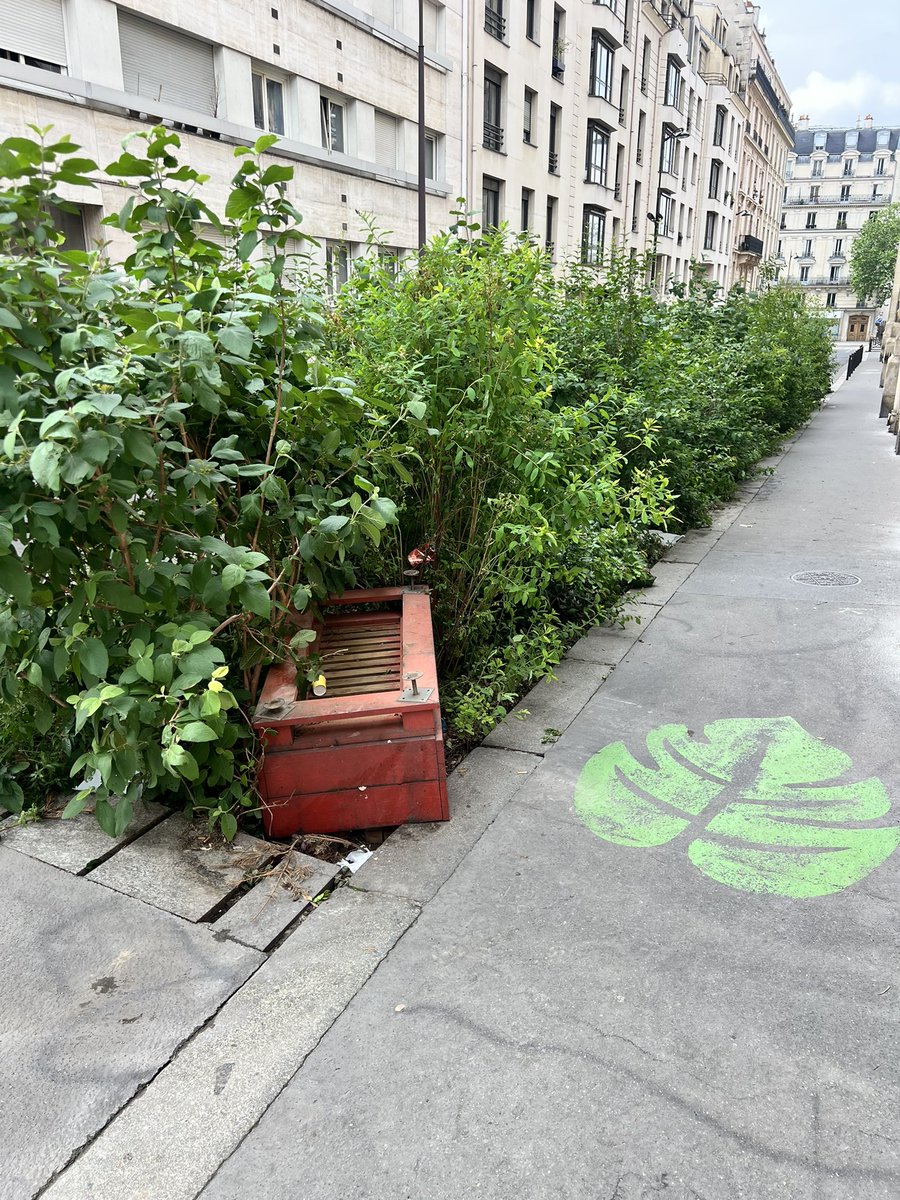 LiveParis111's tweet photo. L’une des deux caisses rouges (bancs) est en train d’endommager les plantes dans la jardinière ; elle a été jetée dans les arbustes… @Proprete2Paris @Parisjecoute Serait-il possible d’envoyer quelqu’un pour récupérer les deux caisses ? Adresse : 1 et 12 rue Lacharrière. https://t.co/SIirGTQaHD