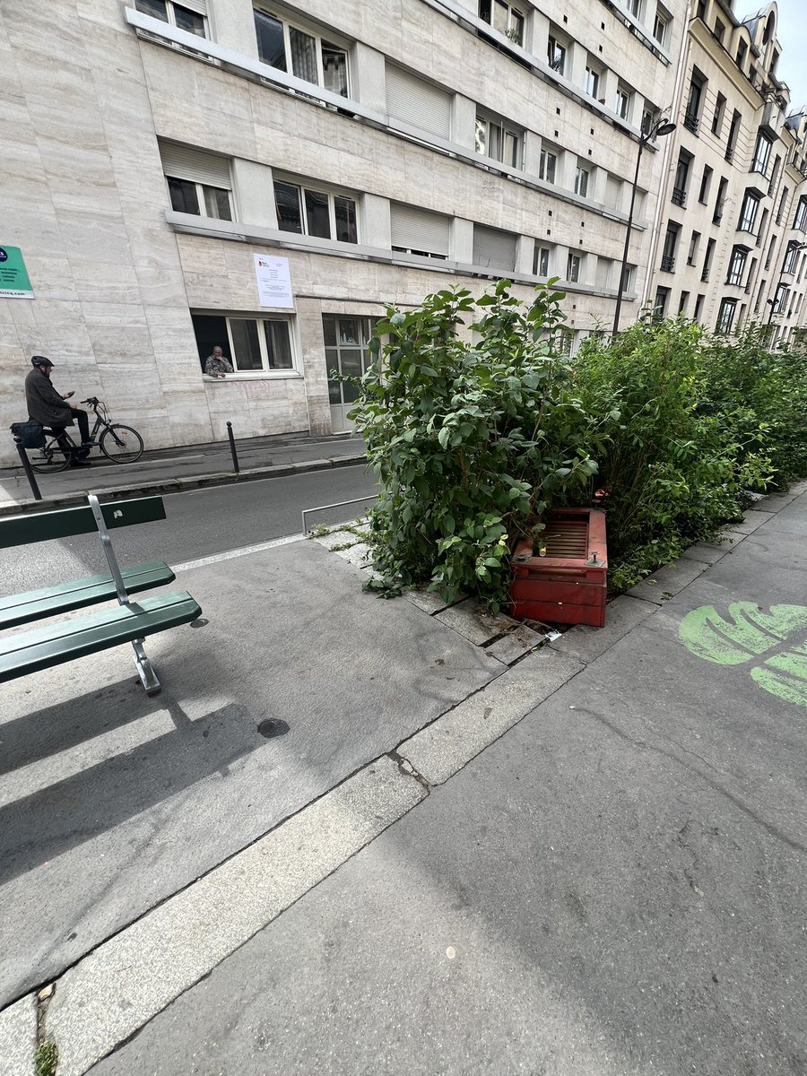 LiveParis111's tweet photo. L’une des deux caisses rouges (bancs) est en train d’endommager les plantes dans la jardinière ; elle a été jetée dans les arbustes… @Proprete2Paris @Parisjecoute Serait-il possible d’envoyer quelqu’un pour récupérer les deux caisses ? Adresse : 1 et 12 rue Lacharrière. https://t.co/SIirGTQaHD