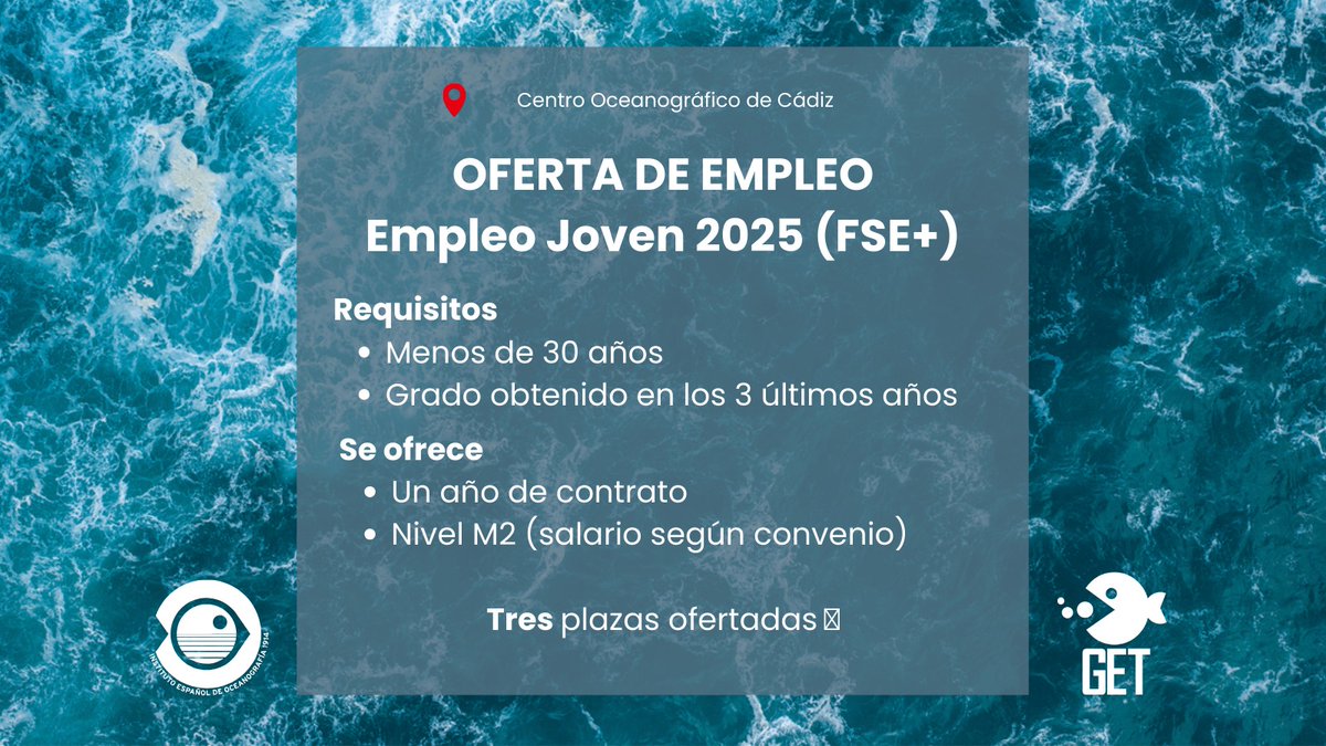 IEO Cádiz tweet media