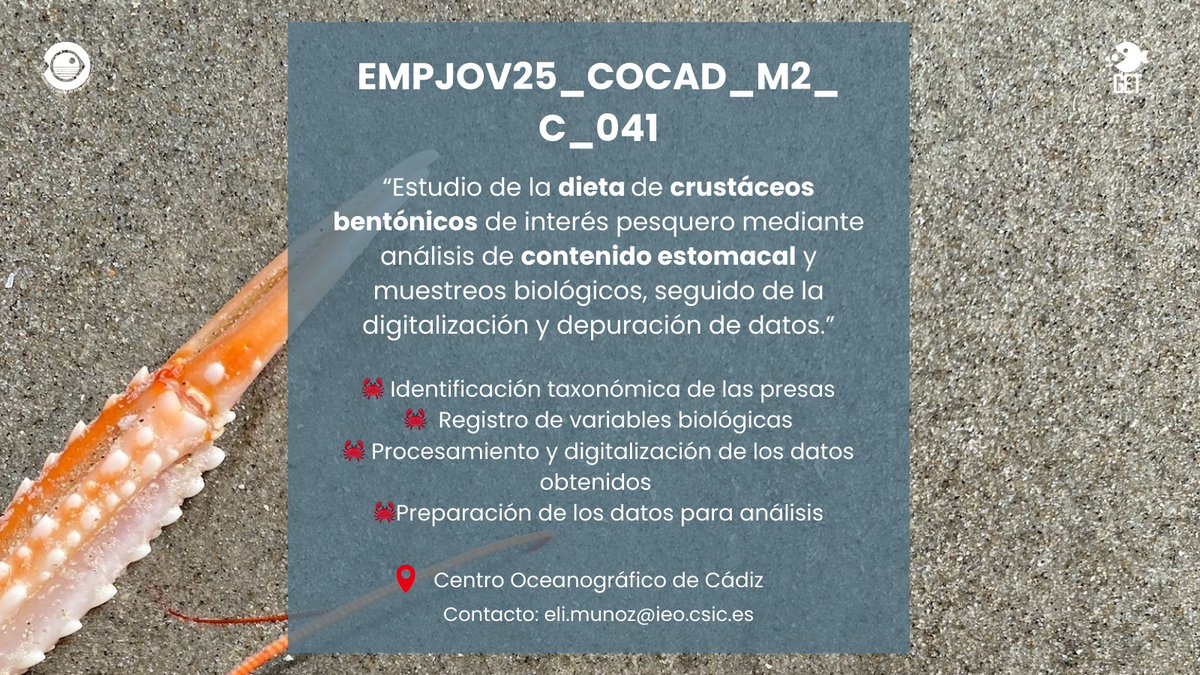 IEO Cádiz tweet media