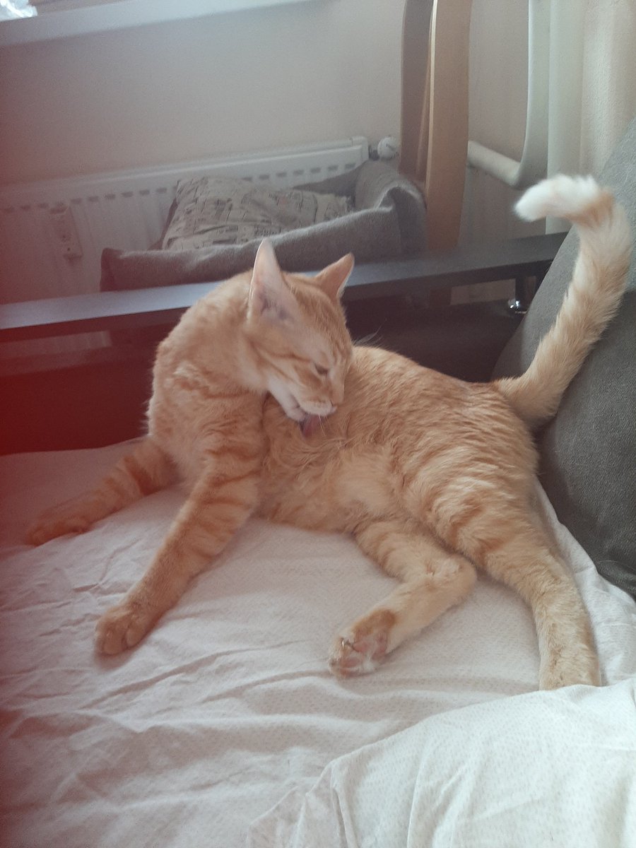 Куда по помытому!