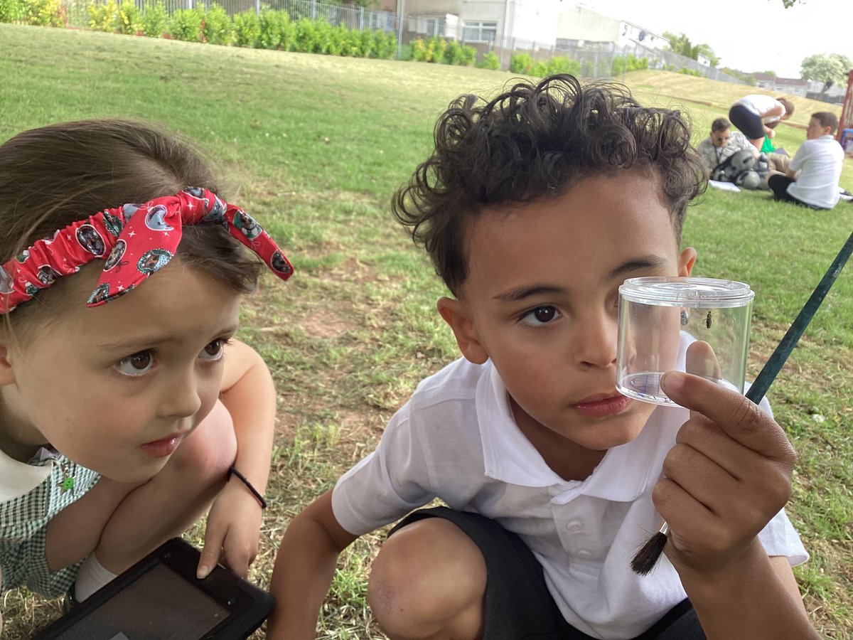 StDavidsCiWPrm's tweet photo. Dosbarth Rhymney have been ecologists and have learnt how to collect and observe minibeasts safely ๐๐ชณ๐ชฒ๐ฆ๐ท๏ธ๐ฆ๐#stdavidsciwrhymney #stdavidsciwSTEM #stdavidsciwethicallyinformed https://t.co/VRQ0ASUlqY