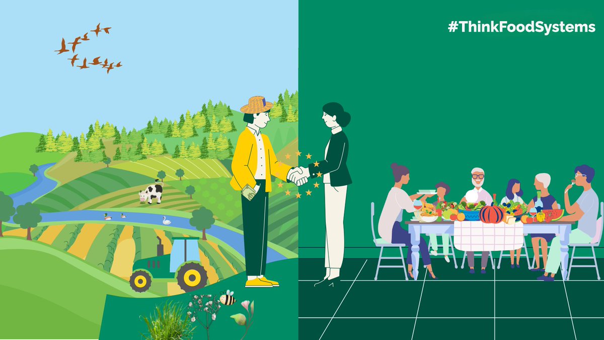 👨‍🌾The demand and supply sides of the agri-food system are interdependent. Action is required on both sides to enable an agroecological transition in the EU.
It's time to do away with siloed policymaking leading to policy incoherence and instead to #ThinkFoodSystems!
#EUAgriVision