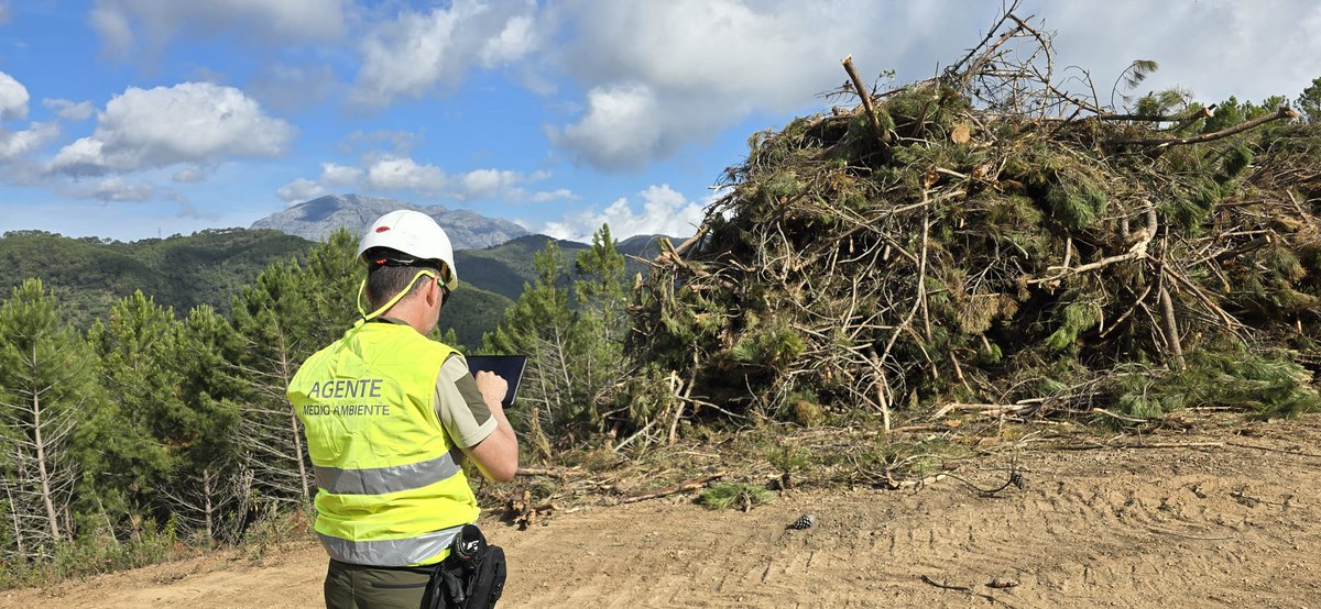 AAMM_And's tweet photo. Un servicio habitual de los #AAMM: el control del condicionado en trabajos selvícolas🌲.
🌐Gracias al uso de nuevas tecnologías, se mide el perímetro con ortofotos tomadas por dron y se levanta acta digitalmente con la app #GAVIS.
🌱Precisión y compromiso con el medio ambiente. https://t.co/maYfh7AS1I