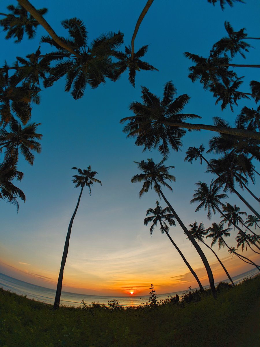 Ajeesh021997's tweet image. Capturing the beauty of India
#FramesOfIndia 
@LavaMobile