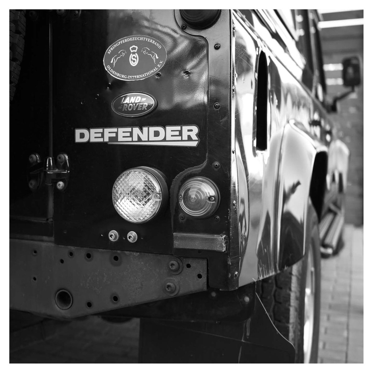 Blacky
#PictureOfTheDay #FotoDesTages
thomaswinzer.com