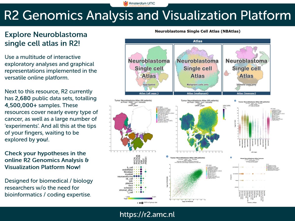 Explore an integrated single cell neuroblastoma resource ( 68 patients ) in R2. 

NBAtlas: A harmonized single-cell transcriptomic reference atlas of human neuroblastoma tumors

r2platform.com/nbsca
