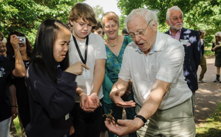 HollyLodgeCentr's tweet photo. Wishing a very happy 99th birthday to the legendary Sir David Attenborough, our cherished patron! ❤️ Your unwavering support over the years means the world to everyone at The Holly Lodge Centre. Thank you for inspiring us all. ✨ #SirDavidAttenborough #OurPatron #theroyalparks https://t.co/OtYaZFxRHn