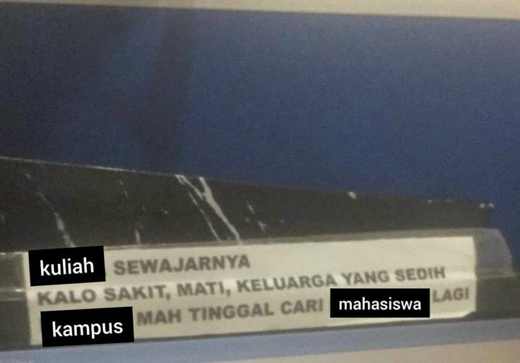 deskypea's tweet image. 