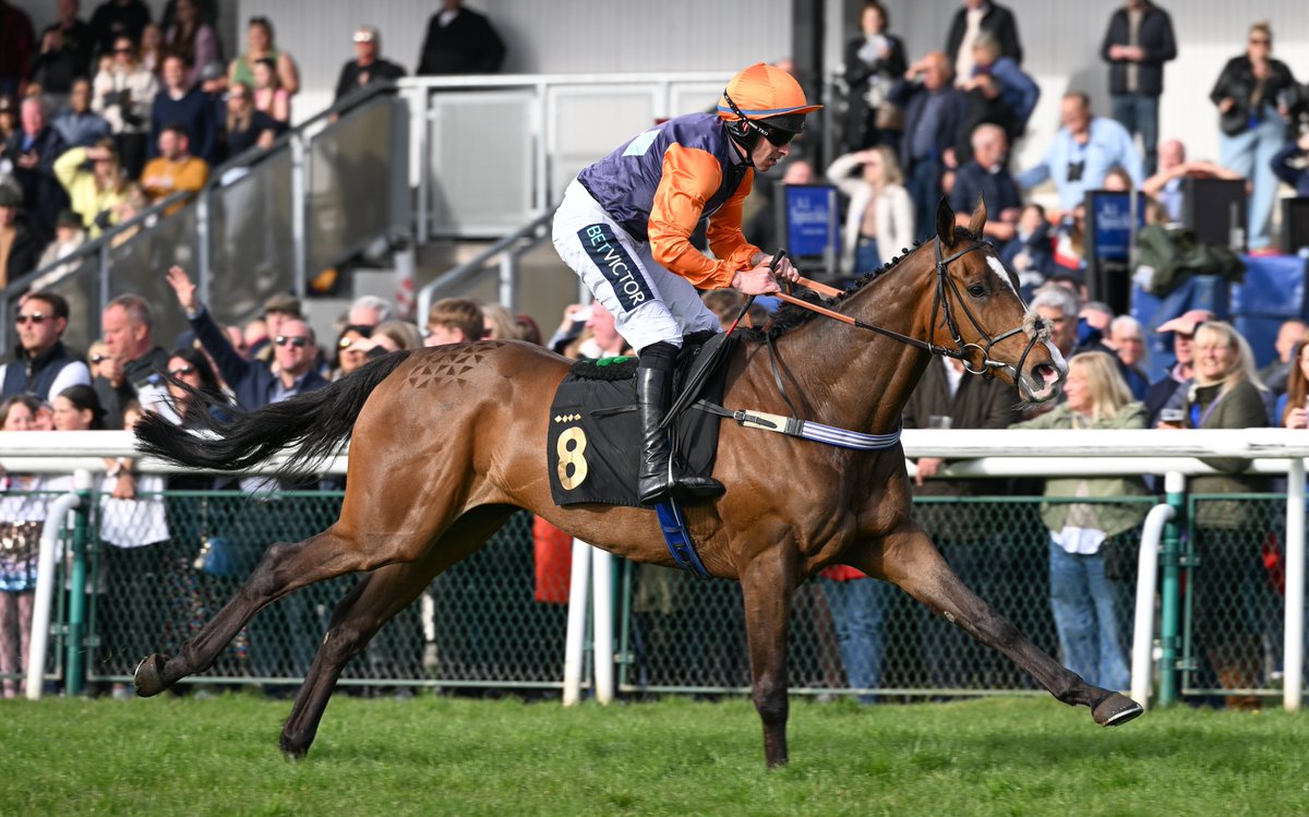 Huntingdon Racecourse (@huntingdon_race) on Twitter photo We race today! 🏇
See you today for our <a href="/PricedUpBet/">PricedUp.Bet</a> Afternoon Racing, with VE Celebrations.
🔓Gates open at 12:15pm
🇬🇧 VE Day silence at 1:15pm
First race at 1:45pm
Last race at 4:25pm
🌱Good, Good to Firm in places
🐕🦺Dog friendly
📲Digital racecard available through our app We race today! 🏇
See you today for our <a href="/PricedUpBet/">PricedUp.Bet</a> Afternoon Racing, with VE Celebrations.
🔓Gates open at 12:15pm
🇬🇧 VE Day silence at 1:15pm
First race at 1:45pm
Last race at 4:25pm
🌱Good, Good to Firm in places
🐕🦺Dog friendly
📲Digital racecard available through our app