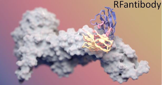 biohegedus's tweet photo. Our working version of RFantibody, the AI-powered antibody design pipeline from Baker-lab for Docker and Singularity at https://t.co/qvFdIJ6ej4
Support: https://t.co/3wnFE5vVib
#proteinengineering #antibodydesign #HPC #bioinformatics https://t.co/V1Ay9i6M8k