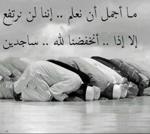 احدن ركع لله من خوف الأهوال
واحدن على غيره يجيب الظلايم

يَا متعبن نفسك على طرد الاقوال
اتعب على الجنه تنال الغنايم #من_لزم_الاستغفار_وجد_الافراح