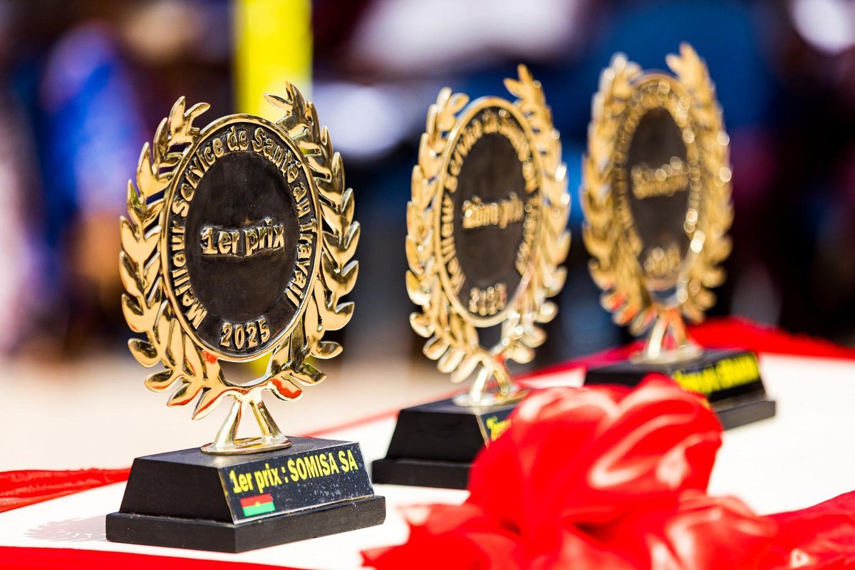 As part of the joint commemoration of the 2025 World Day for Safety and Health at Work (WDSHW) and the African Day for the Prevention of Occupational Risks (ADPOR), the Occupational Health Inspection launched the 4th edition of the Best Occupational Health Services (OHS) Award.