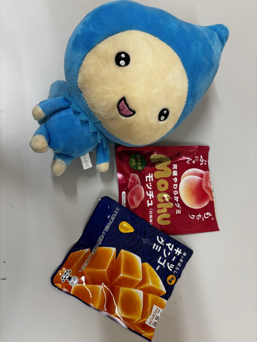 店長です！
最近グミにハマりすぎててつらい😆
小腹がすいたらついついパクパク…(๑´ㅂ`๑)
カロリー低いので無罪！！

青いのは #ぴちょんくん じゃないです🤣

#モッチュ #ダイナム #グミしか勝たん