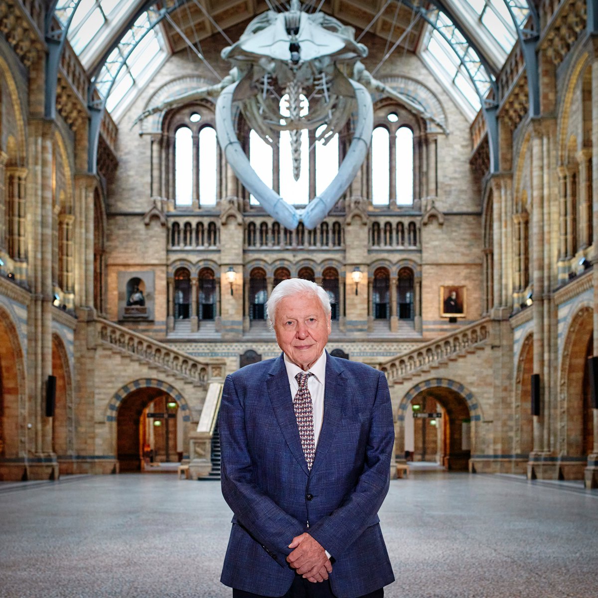 🎂Happy 99th Birthday to Sir David Attenborough. 

Have you heard about Our Story a new 360° experience, presented by Sir David Attenborough opening 19 June? 

Find out more:  nhm.ac.uk/visit/exhibiti…