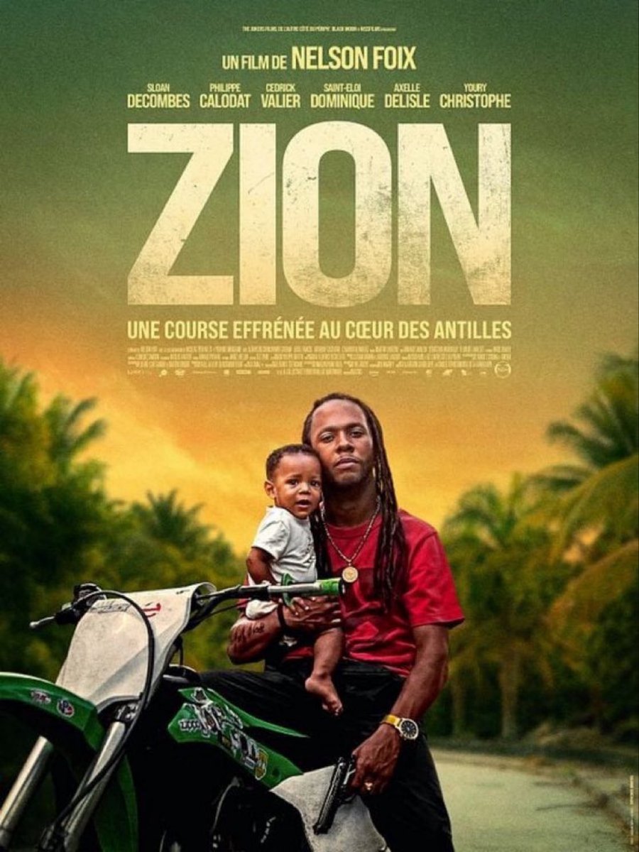 🟩 Superbe tenue (-18%) encore pour #Zion qui réalise 45.604 entrées sur 176 écrans lors de sa 4e semaine. Il cumule 382.215 entrées, va dépasser les 400.000 cette semaine et peut atteindre les 500.000 👏 cc <a href="/thejokersfilms/">The Jokers</a>
