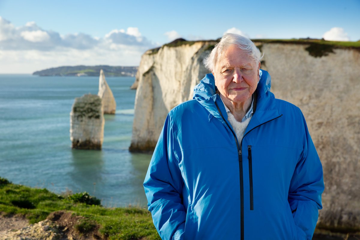 🎂🎬 Celebrate a living legend on his 99th birthday!

OCEAN is the latest cinematic message of hope from Sir David Attenborough. 🌊🐠

📅 Screening tonight at 6pm
👏 Encores: Sun 11 &amp; Thu 15 May

🎟️ Book now: storyhouse.com/whats-on/ocean…