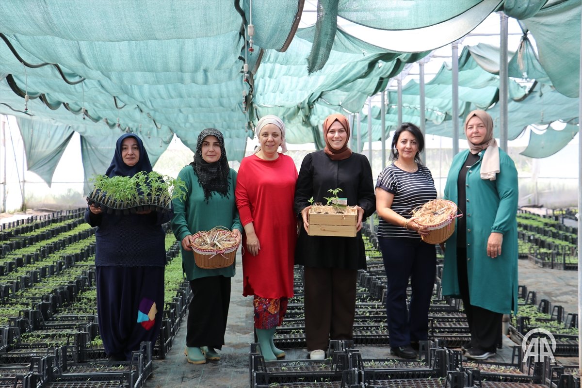 AA_Yesilhat's tweet photo. 🌾Kocaeli'de kadınlar, seralarda ata tohumlarından ürettikleri fidelerle hem aile ekonomilerine katkı sağlıyor hem de sürdürülebilir tarıma destek oluyor

#Yeşilhat🌱

https://t.co/hEBinuZSYO https://t.co/Vi2Z5Ao2uO