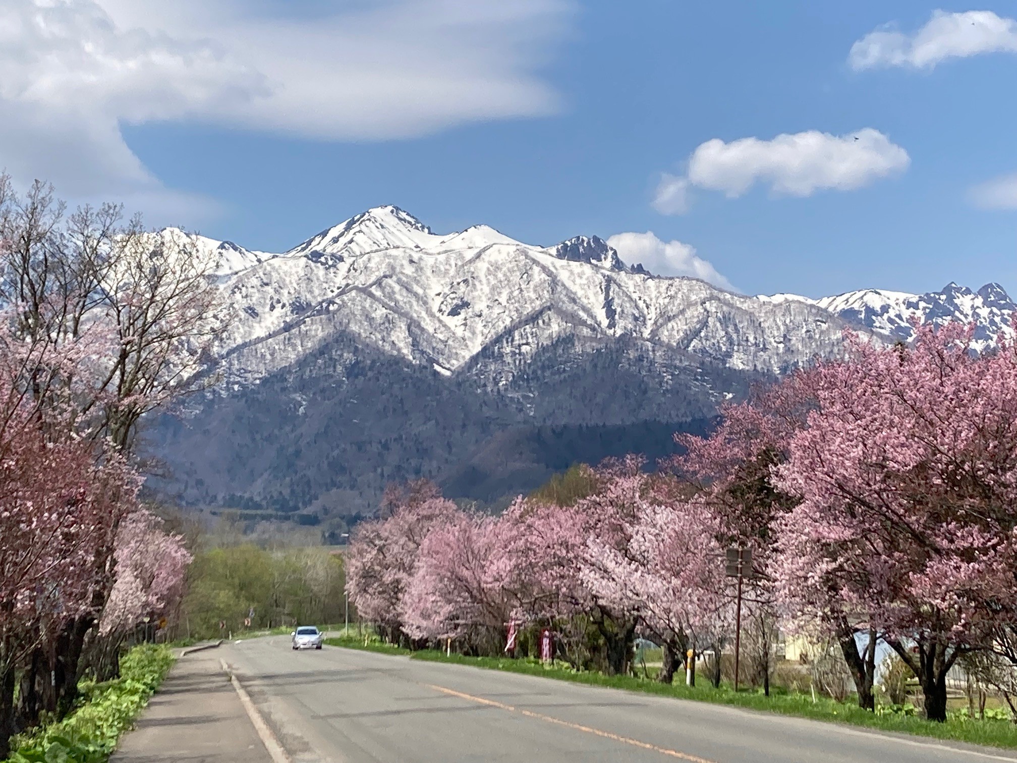 Amazon.co.jp: 180606I02☆ky 北海道の都市計画 平成9-16年 8冊