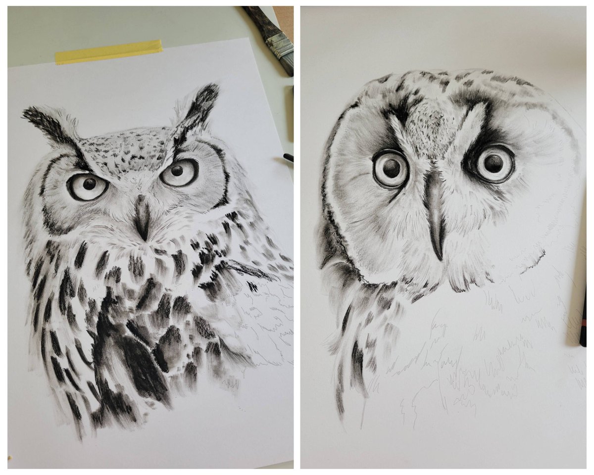 Ik kreeg een melding dat ik twee jaar geleden werkte aan een uilenduo in houtskool. Ze zijn inmiddels uitgevlogen, maar de ransuil heb ik nog wel!

Houtskool op papier
30 x 40 cm
€195,-

(Nu weer zin in houtskool!)