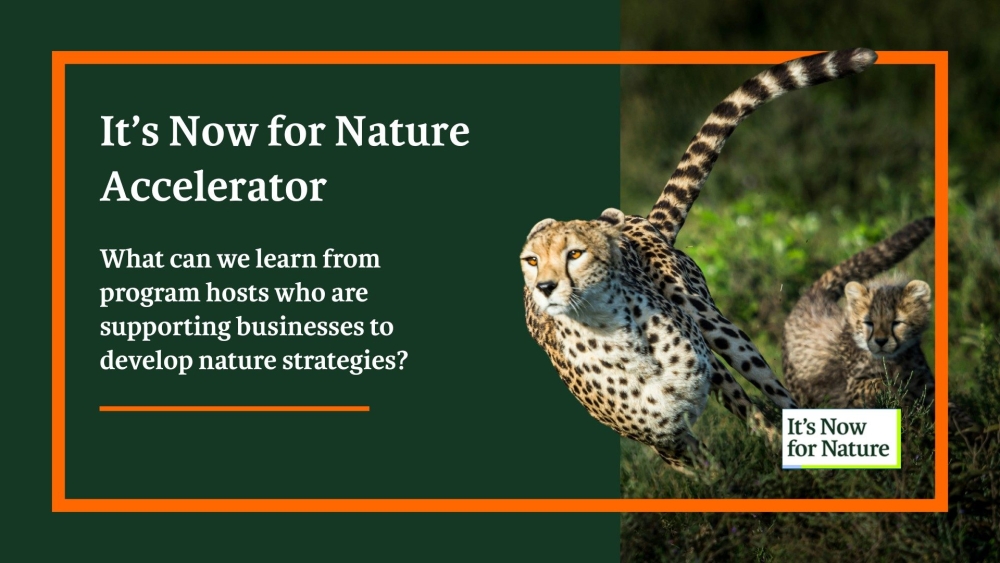 🌿 7 It’s #NowForNature Accelerators are helping businesses build credible and actionable nature strategies - tackling challenges from internal buy-in to assessments

Discover what companies are learning from taking action #ForNature: bit.ly/Accelerator-Le…
