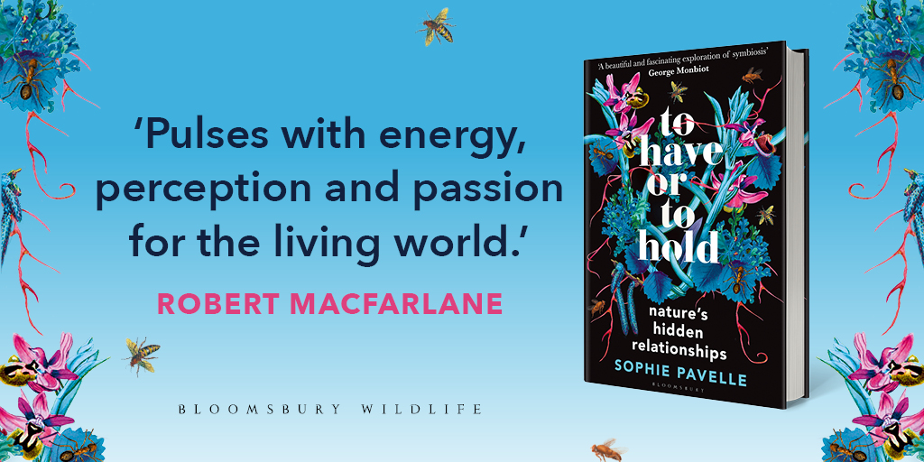 Bloomsbury Wildlife (@chiffchat) on Twitter photo What can nature teach us about living together?
To Have or To Hold is a thrilling exploration of nature's symbiotic relationships, some comforting and familiar, others wildly alien, by the award-winning author of Forget Me Not <a href="/sophiepavs/">Sophie Pavelle</a>.
Out now! What can nature teach us about living together?
To Have or To Hold is a thrilling exploration of nature's symbiotic relationships, some comforting and familiar, others wildly alien, by the award-winning author of Forget Me Not <a href="/sophiepavs/">Sophie Pavelle</a>.
Out now!