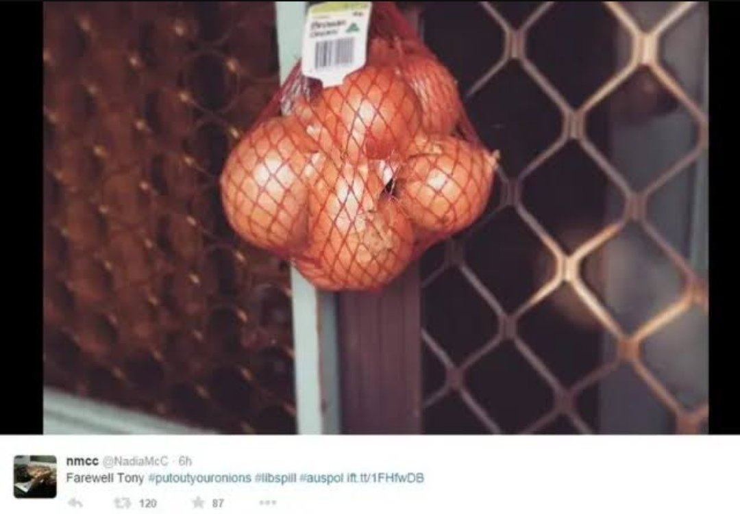 Genuinely surprised Australia hasn't got #putyourpotatoesout trending like we did with onions when Abbott got the boot.