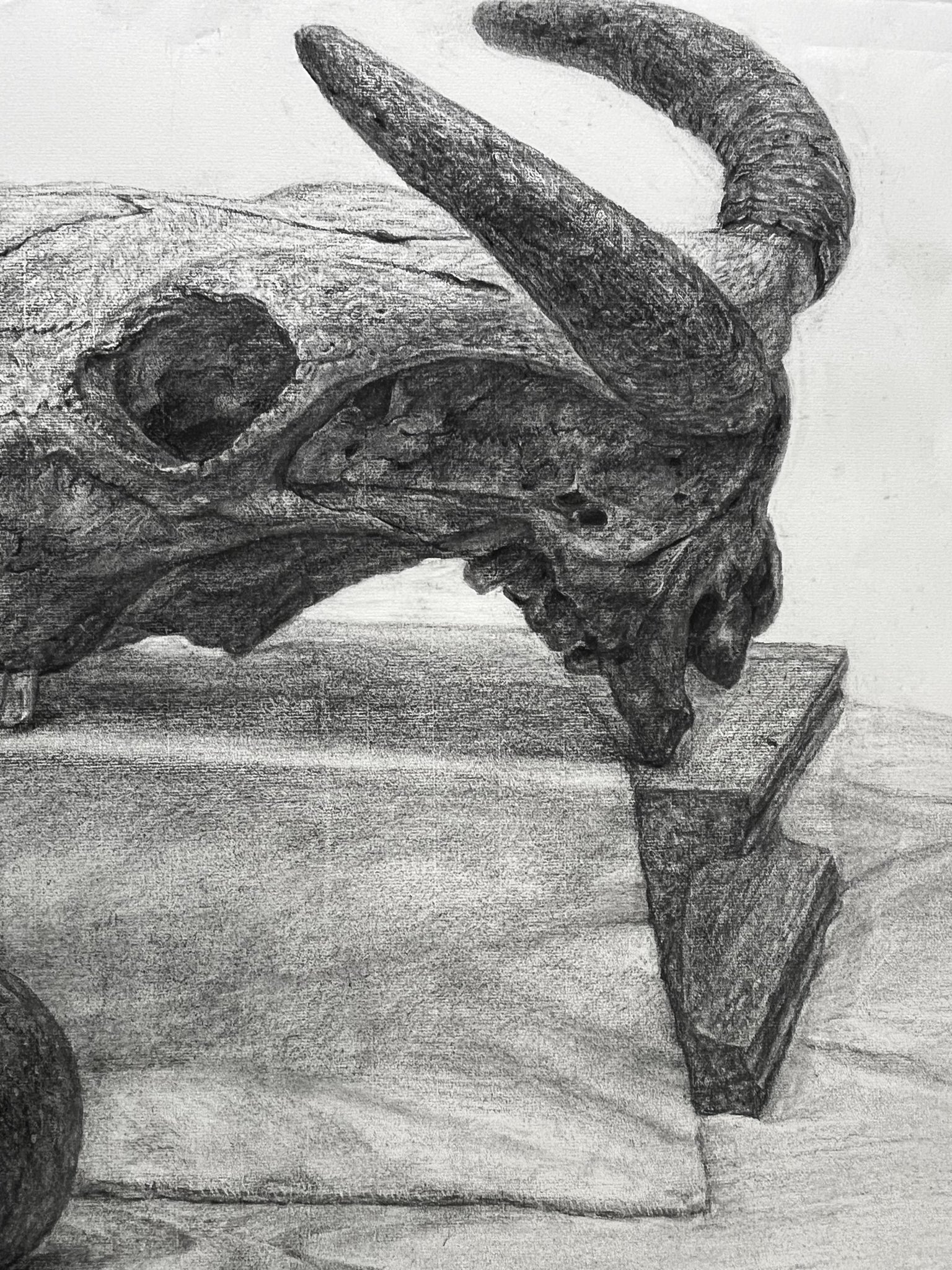 ドローイング 木炭画 木炭デッサン」のアイデア 9 件 | 木炭デッサン, デッサン, 静物